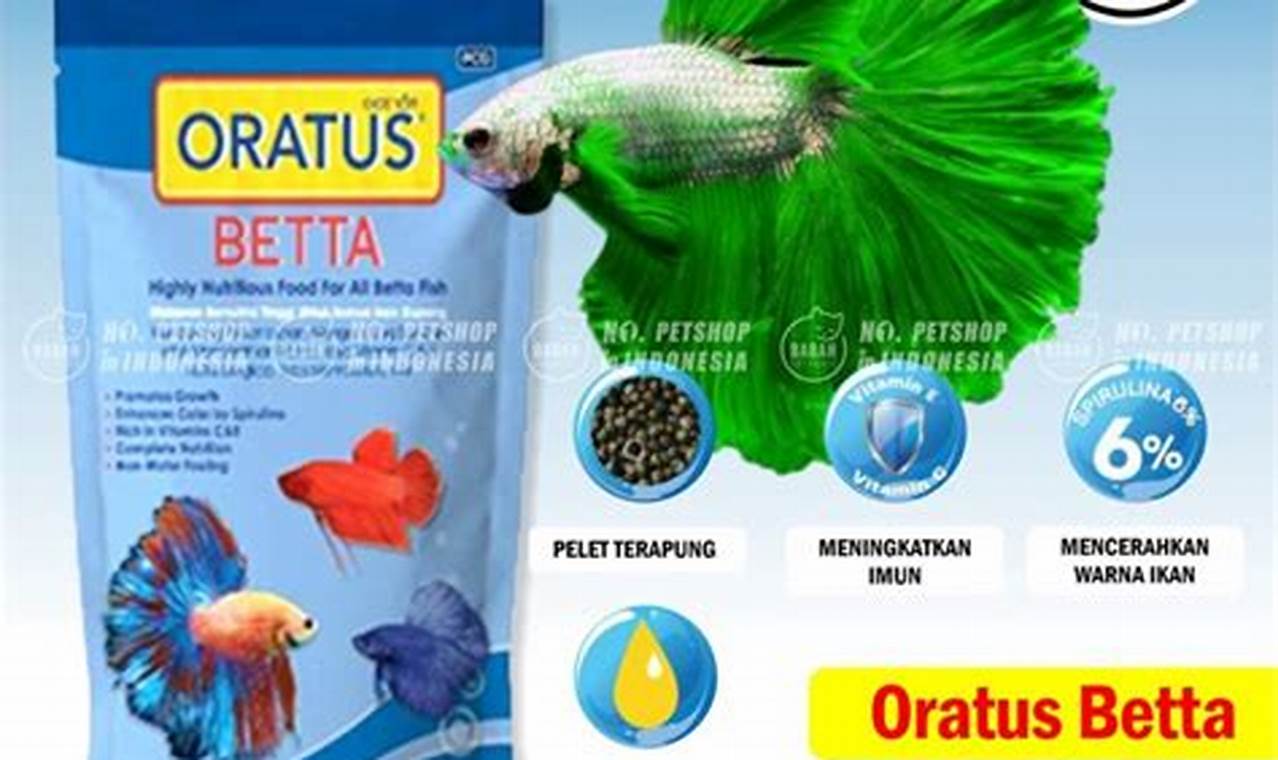 Rahasia Mendapatkan Ikan Cupang Thailand Berkualitas, Terungkap!