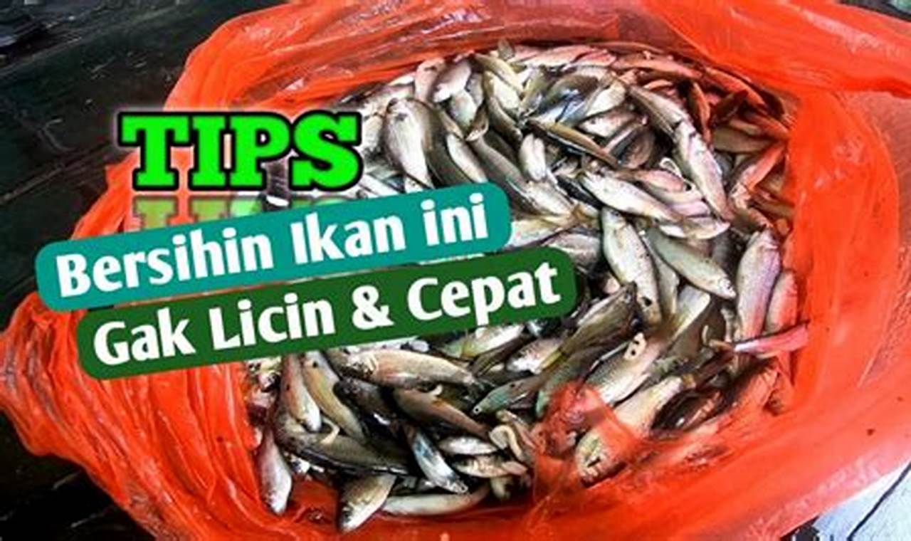 Cara Bersihkan Ikan Wader Hebat: Rahasia & Tips Penting