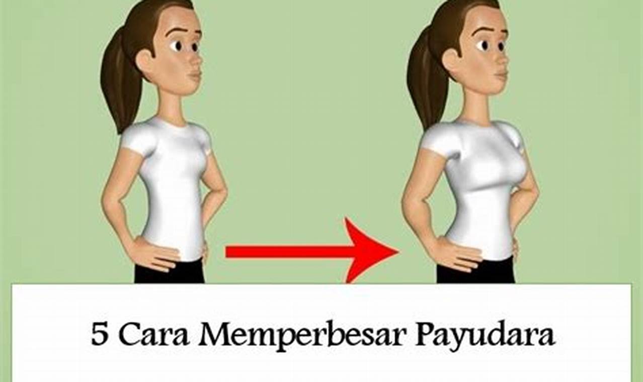 Rahasia Meningkatkan Ukuran Payudara: Penemuan Baru dan Wawasan Mengejutkan