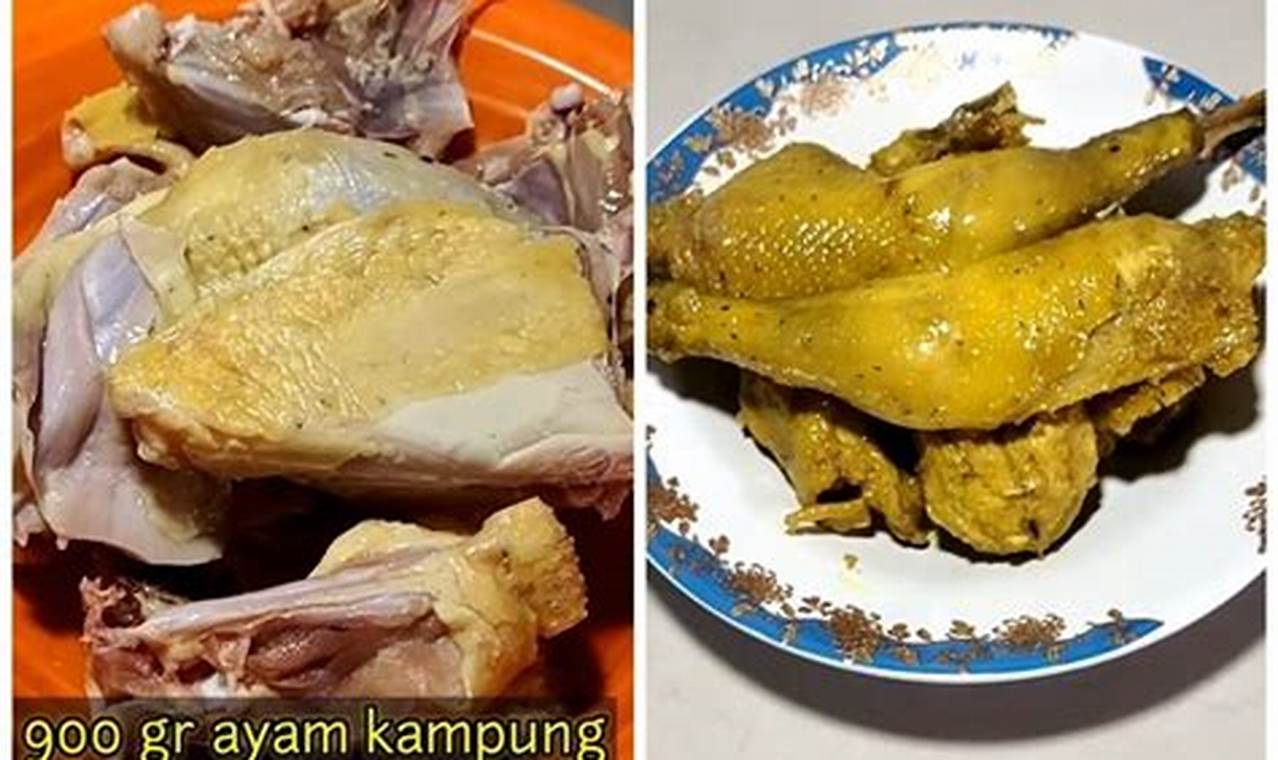 Rahasia Mengungkep Ayam Kampung Super Lezat, Empuk, dan Gurih