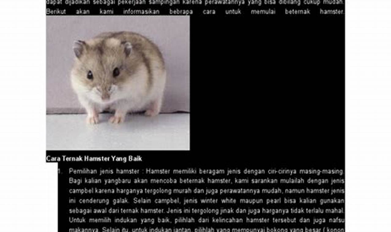 Panduan Lengkap: Cara Ternak Hamster untuk Pemula