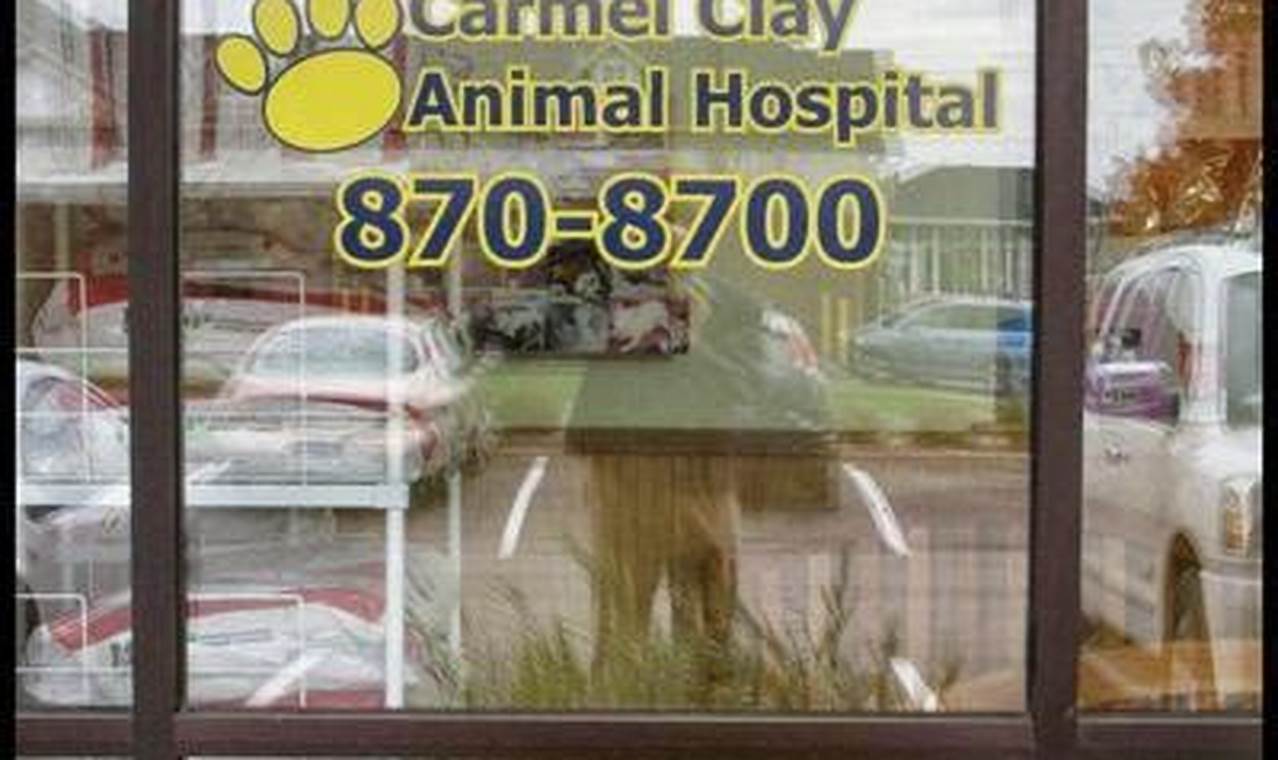 The Ultimate Guide to Carmel Clay Animal Hospital: Your Pet's Healthcare Haven