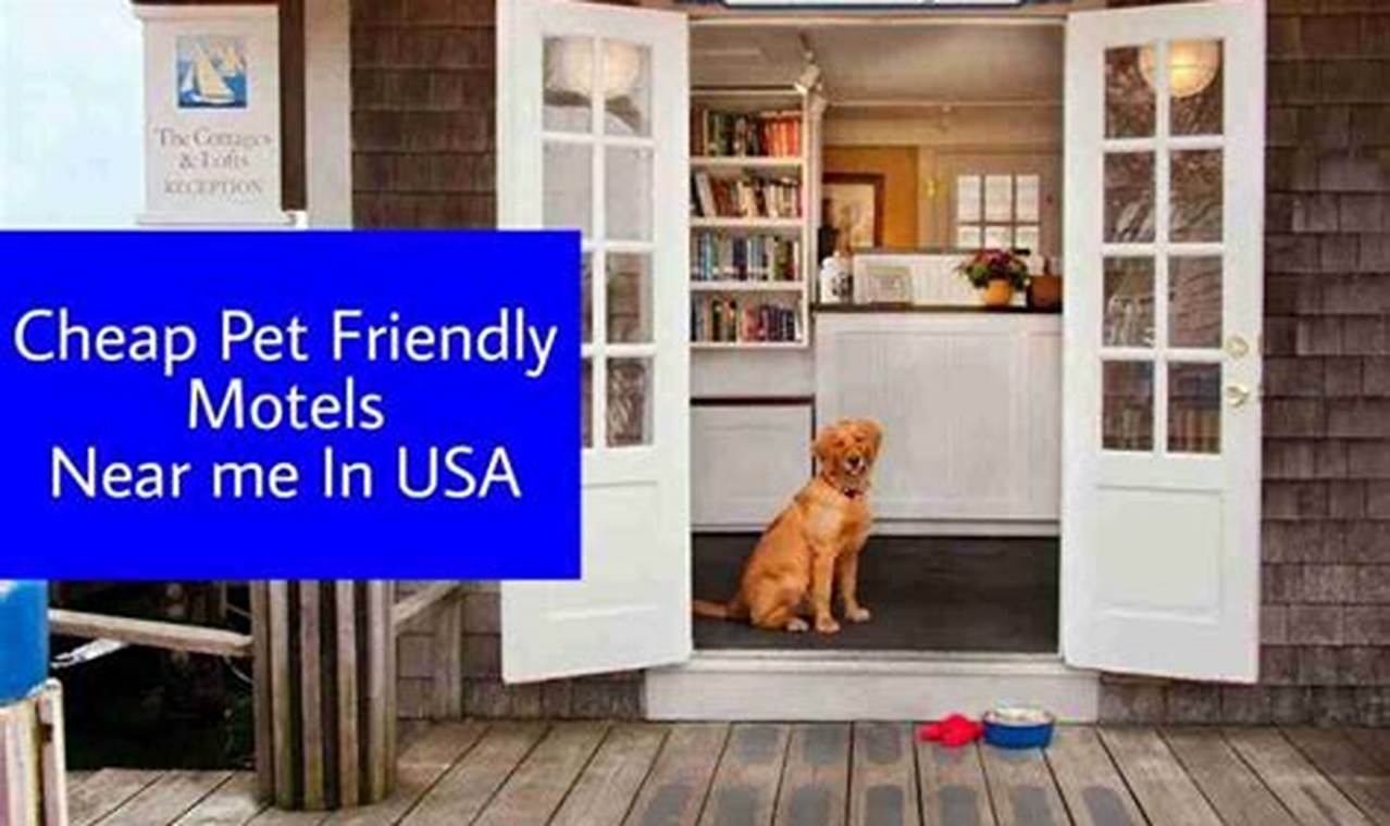 Tail-Wagging Deals: Uncover 7 Budget-Friendly Motels for Your NYC Petcation