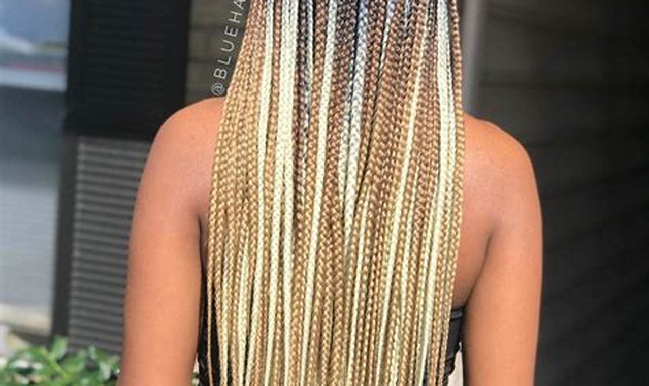 Discover the Allure of Chestnut Brown Mixed Brown and Blonde Box Braids: Unveiling Style and Versatility