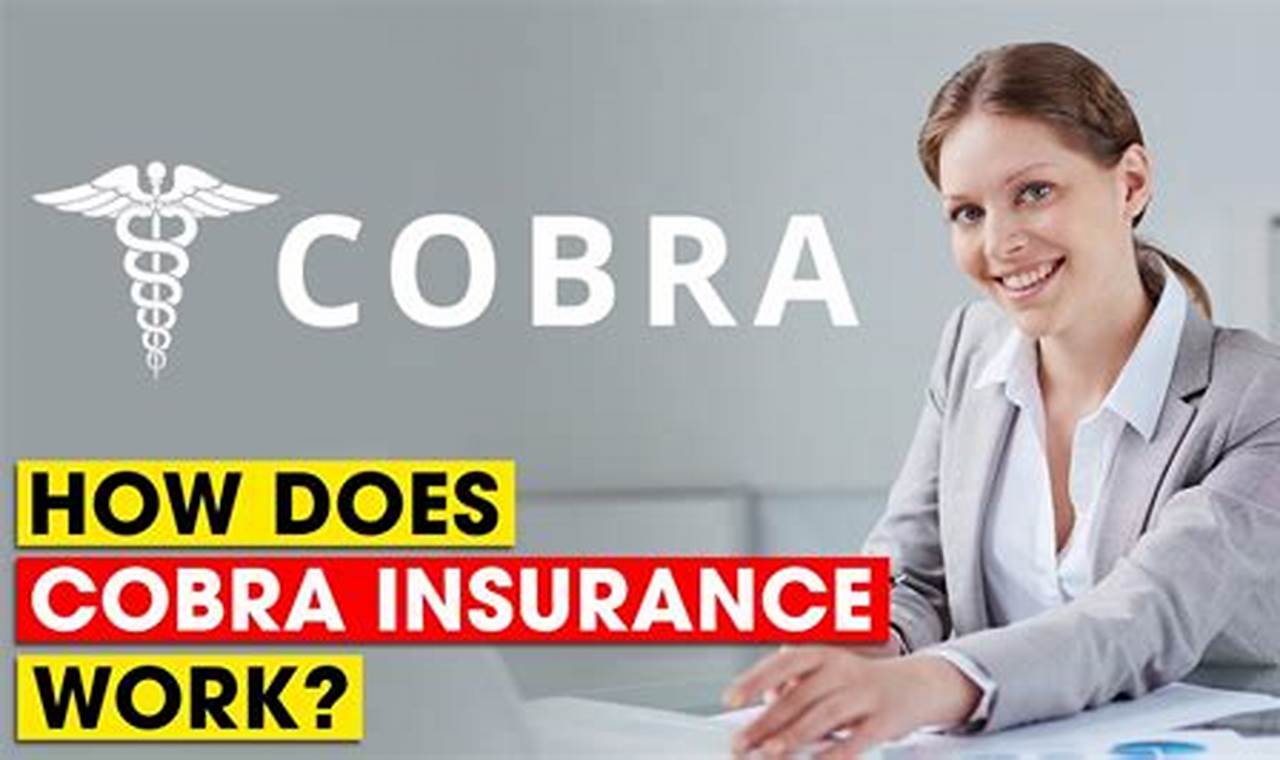 Cobra Health Insurance