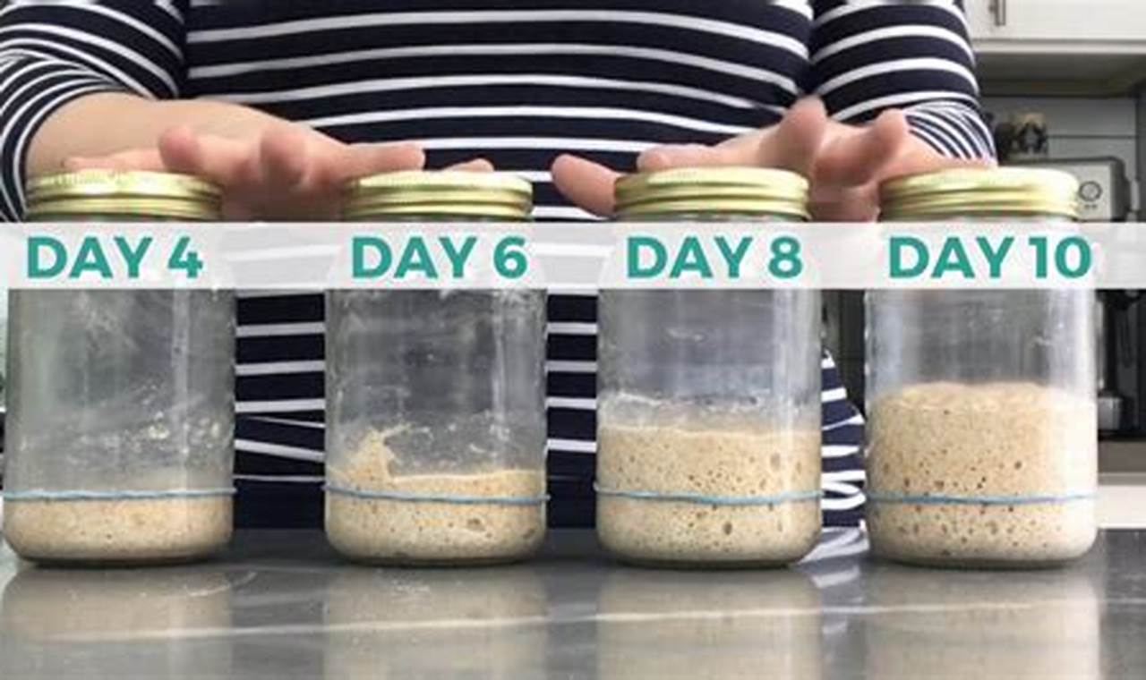 Sourdough Starter Mastery: Unleash the Tangy Goodness of Day 4
