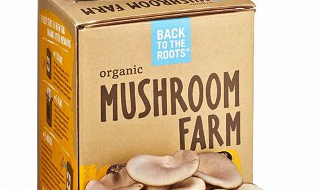 Uncover the Secrets: DIY Mushroom Farm Kits Unveiled