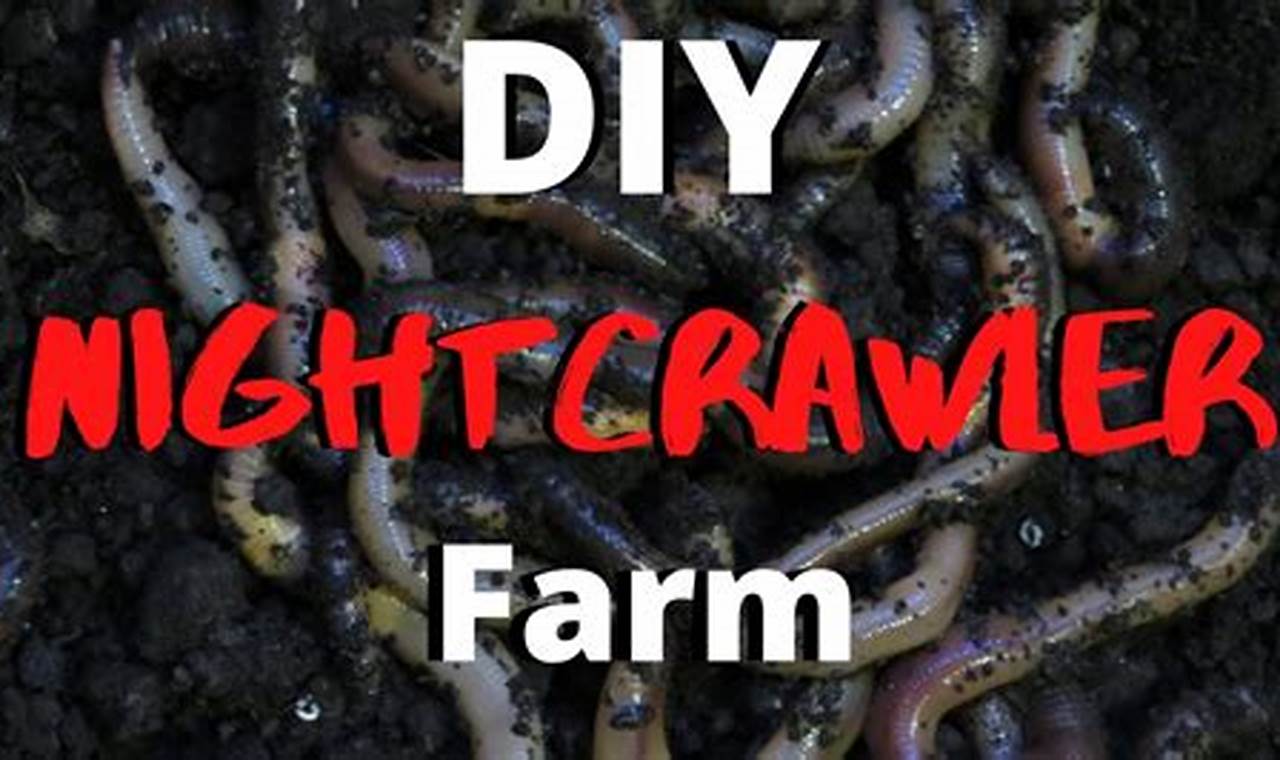 Uncover the Secrets of Nightcrawler Farming: A Revolutionary DIY Guide