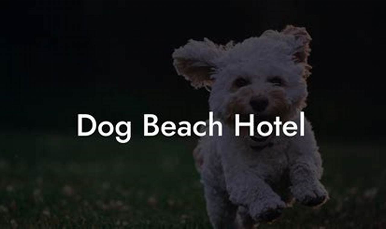 Unleash Your Dog's Joy: Discover 5 Paw-fect Beach Resorts in NYC