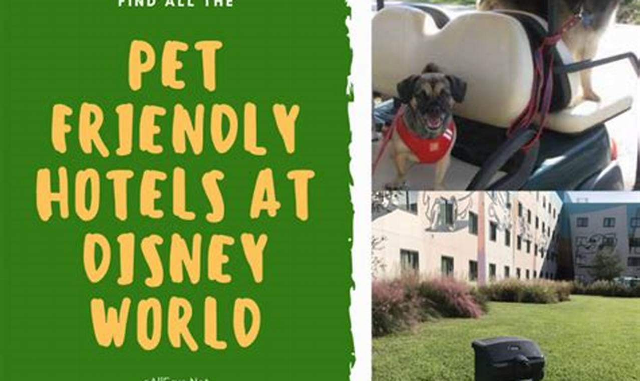 Discover 5 Paw-some Dog-Friendly Disney Hotels in NYC, Tailored to Your Pet's Dreams!