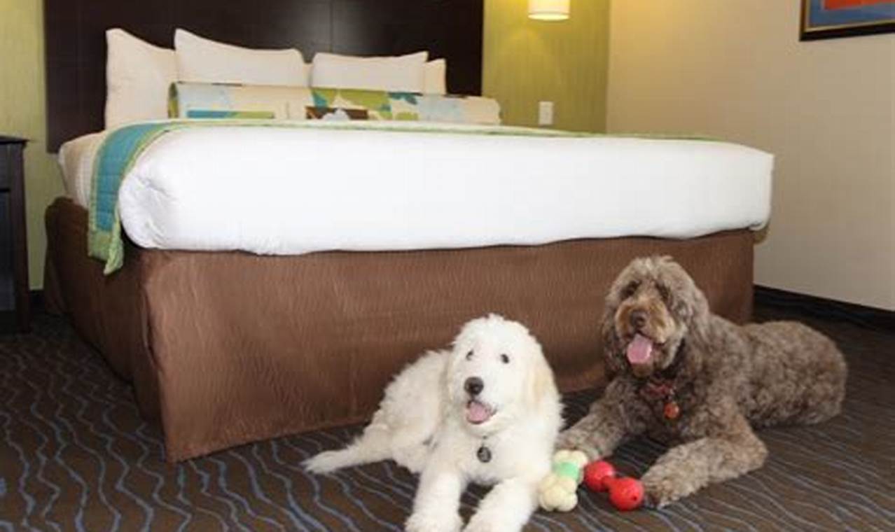 Discover 10+ Dog-Friendly Extended Stay Hotels in NYC That Will Delight You and Your Furry Friend