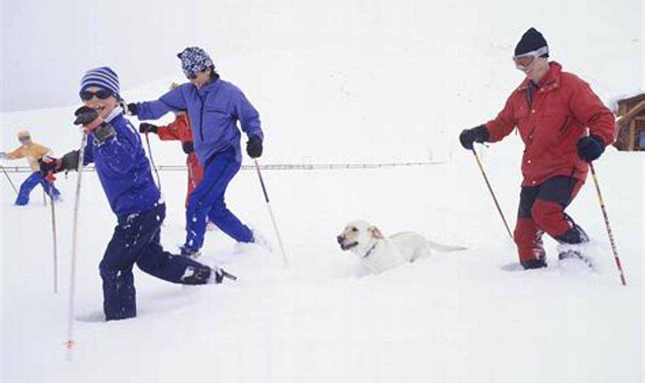 Unleash the Joy of Skiing with Your Pup: Discover 5 Dog-Friendly Ski Resorts in NYC