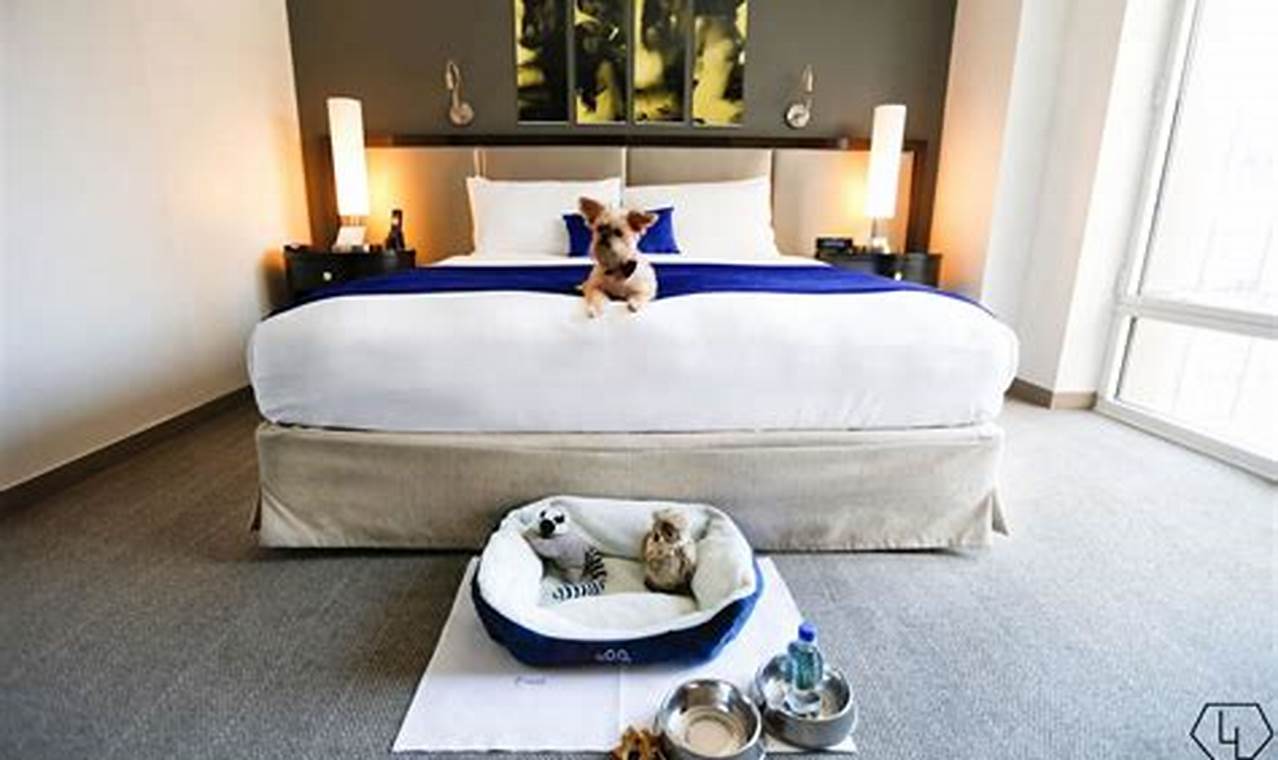 5 Dog-Friendly Spa Hotels in NYC: A Relaxing Getaway for You and Your Furry Friend