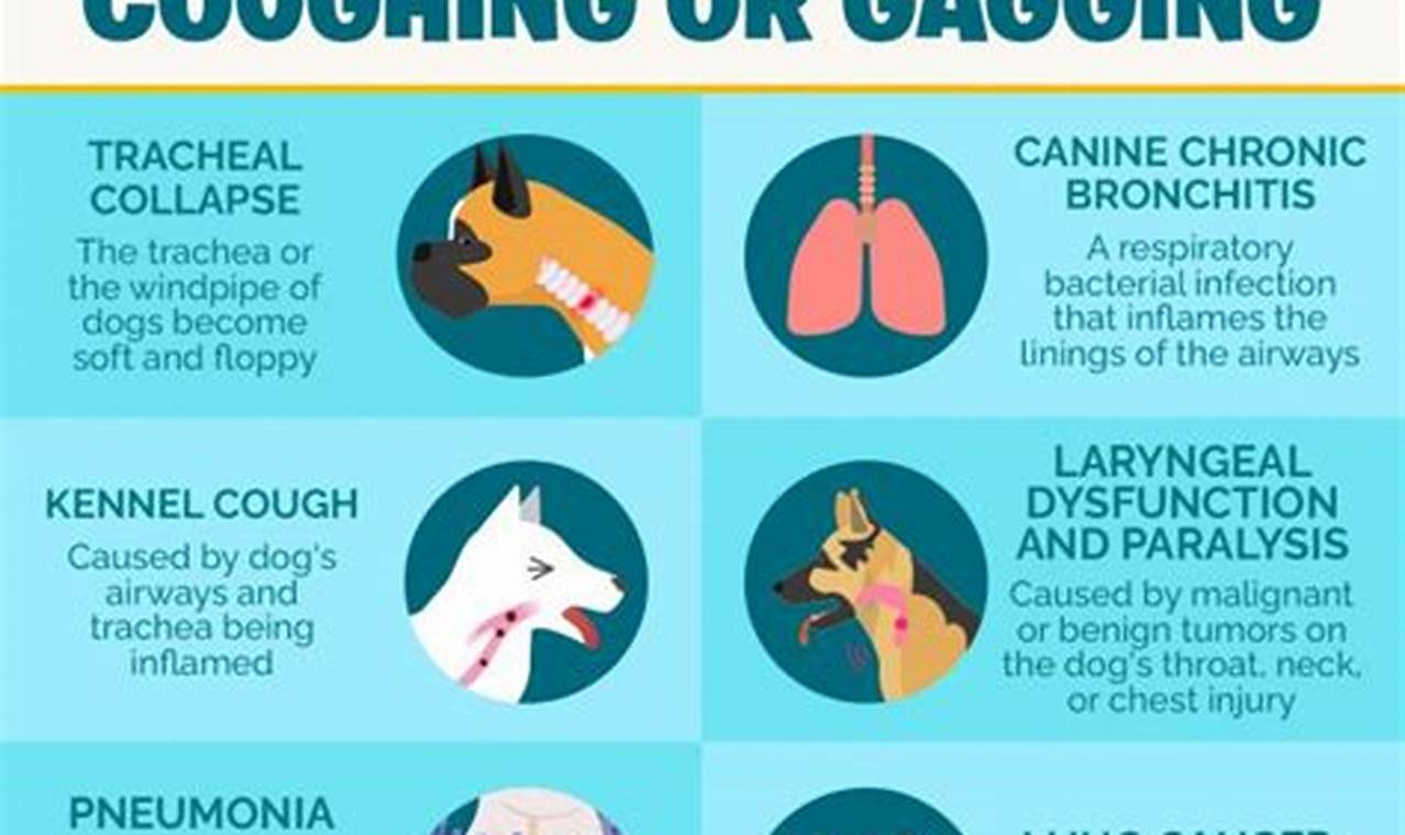 Dog Keeps Coughing and Hacking: Causes, Symptoms, and Solutions