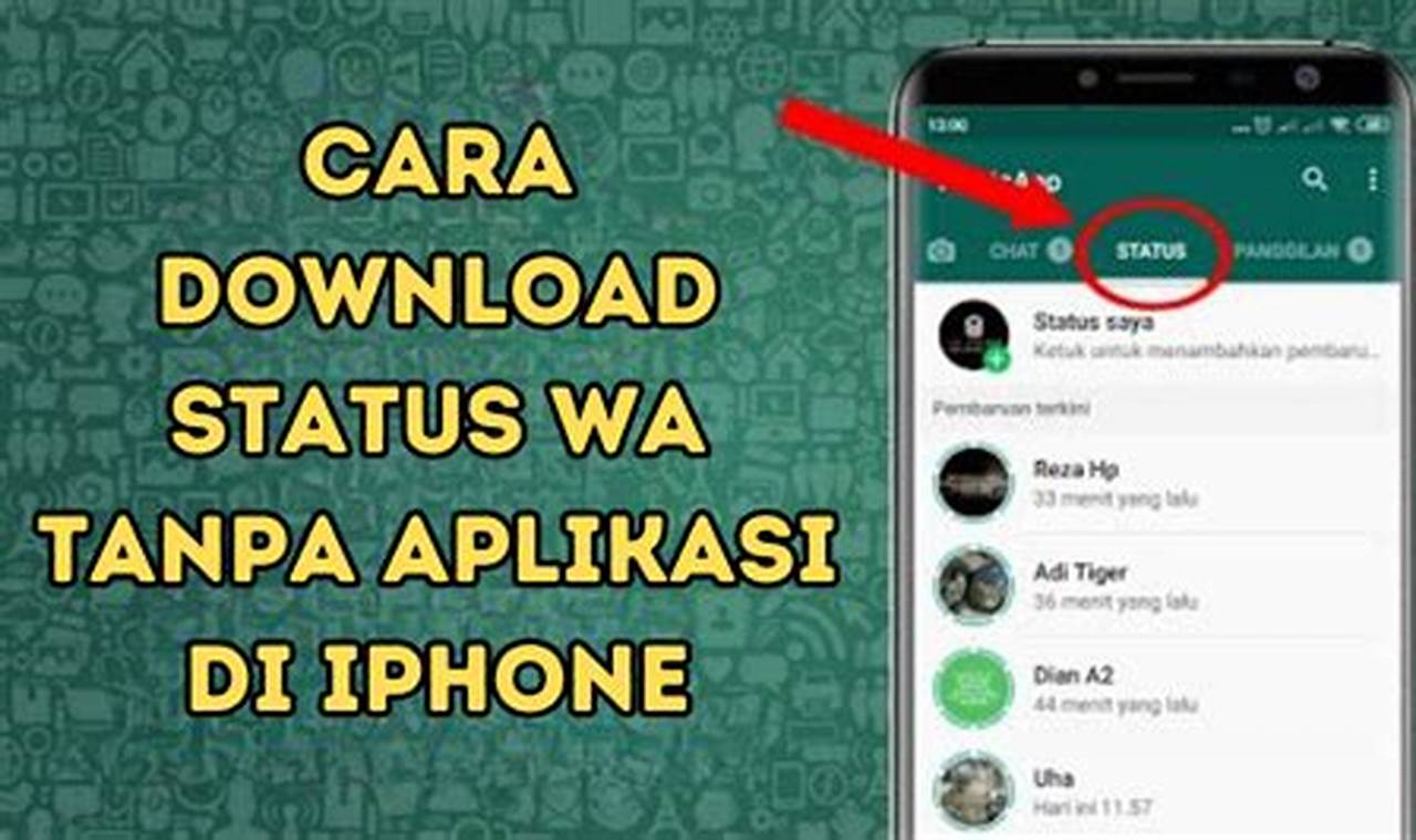 download status wa tanpa aplikasi