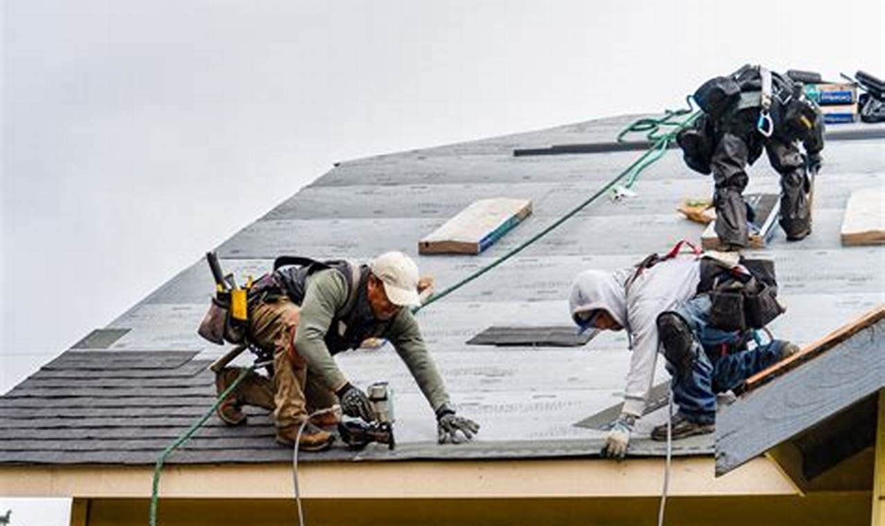 Emergency Roof Repair Services for Immediate Protection