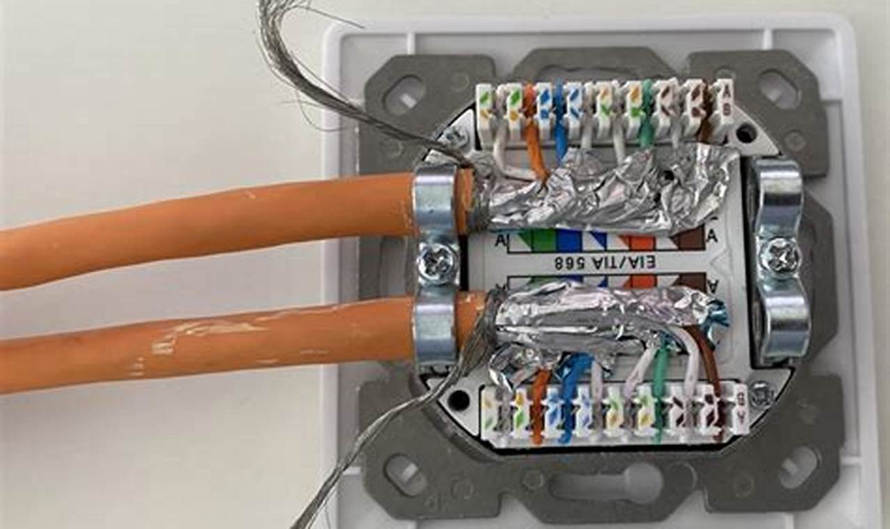 Ethernet-Kabel richtig anschließen: So finden Sie den optimalen Anschlussort