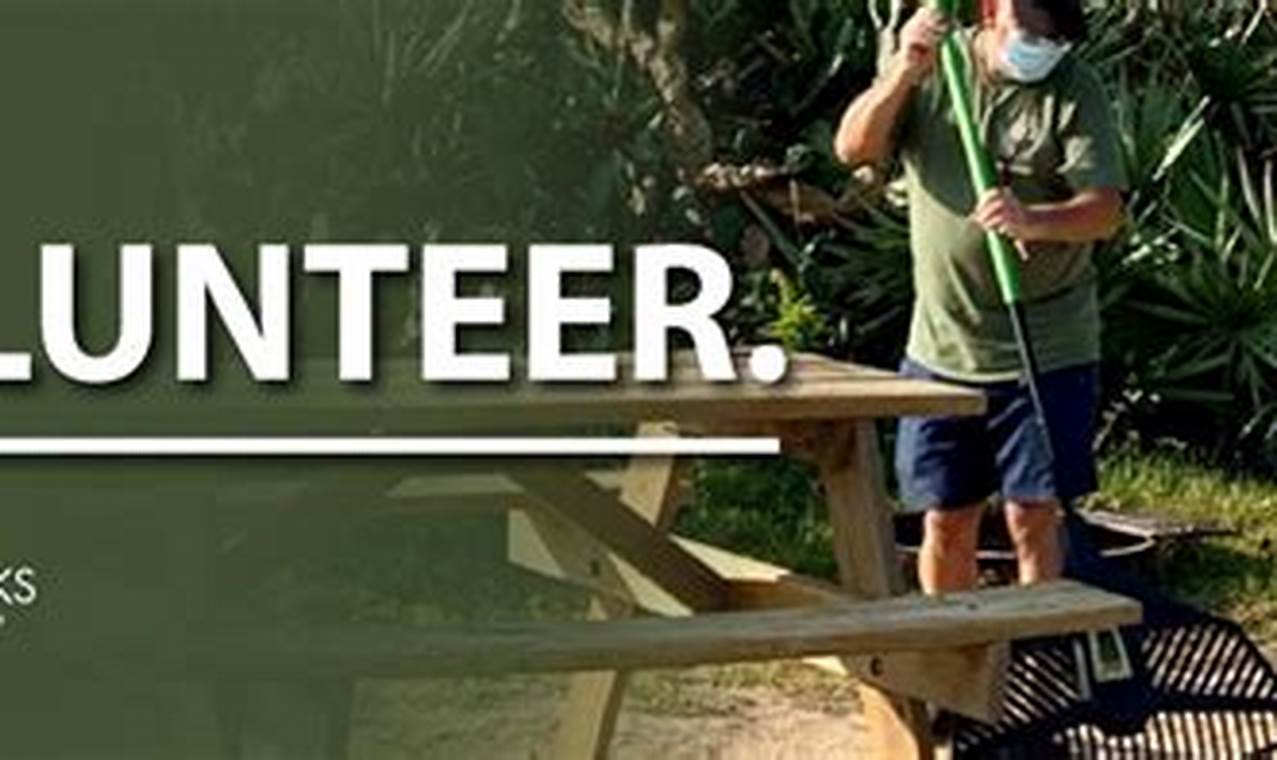 Get Involved: A Guide to Volunteering at Florida State Parks with the Florida State Parks Volunteer Portal