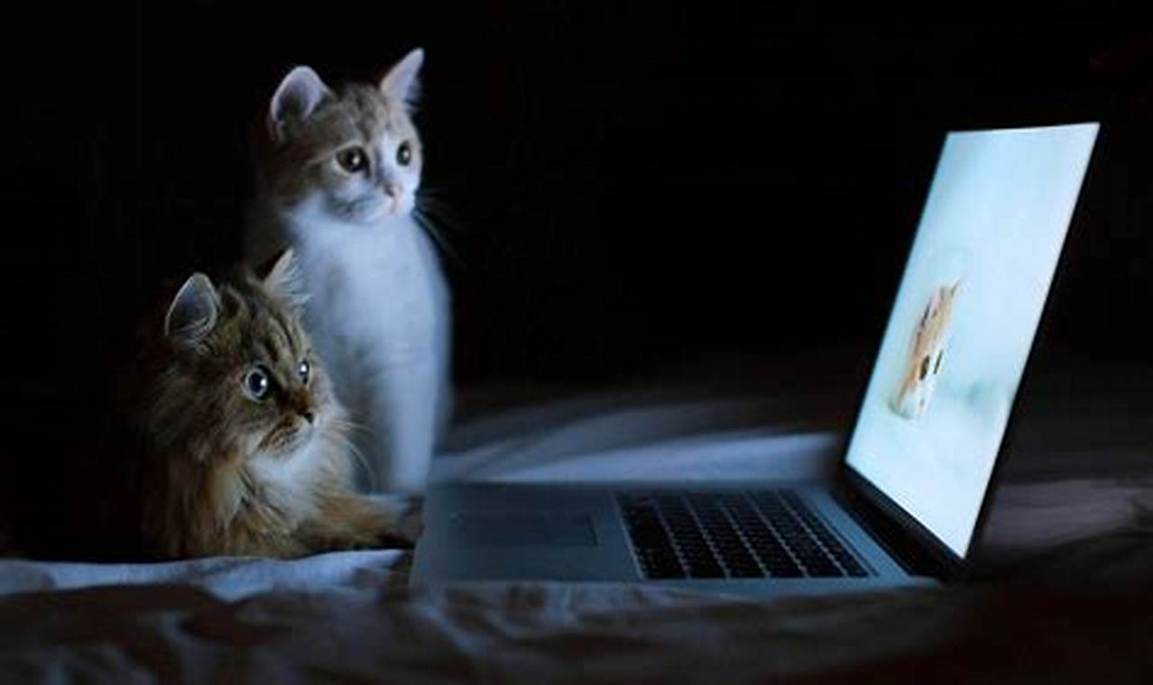 Galeri Foto Kucing Lucu dan Menggemaskan untuk Wallpaper