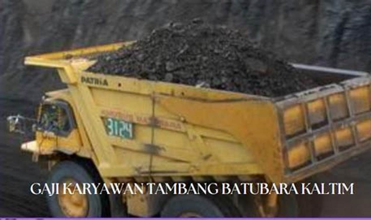 gaji karyawan tambang batubara kaltim