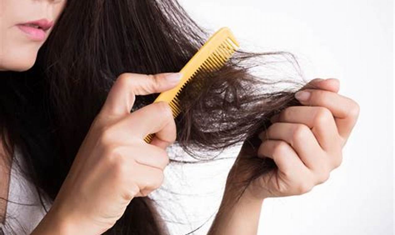 Rambut Rusak: Penyebab, Ciri, Perawatan, dan Pengaruhnya pada Psikologis