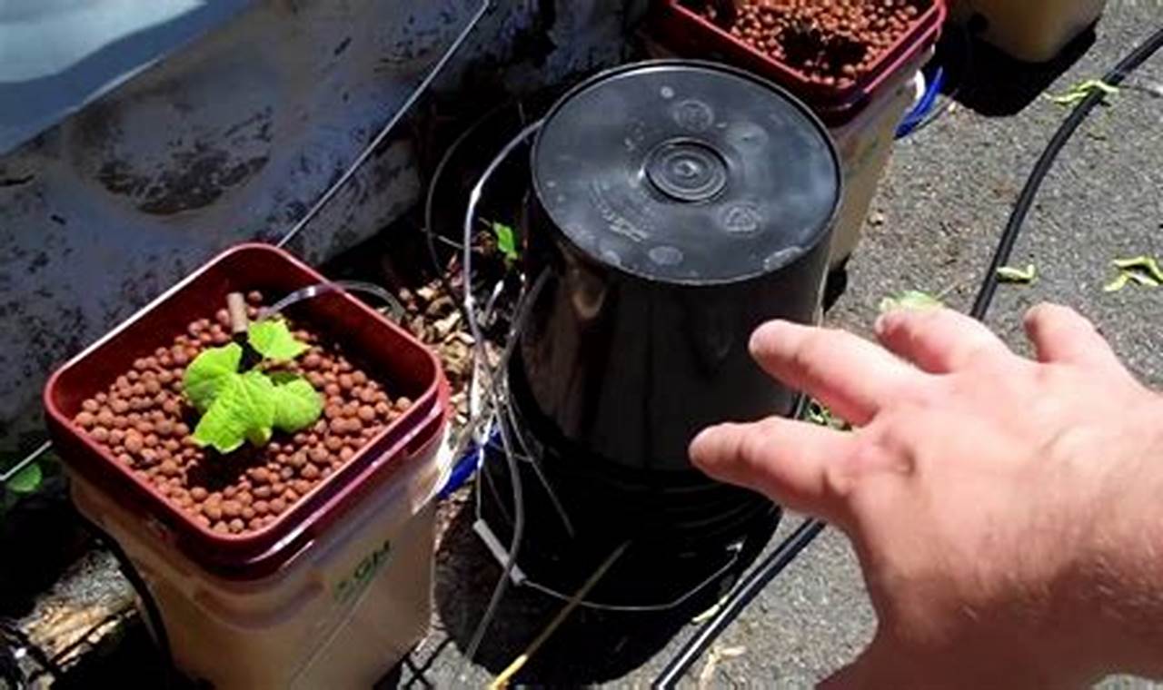Unlock the Secrets of DIY Hydroponics: Discoveries for Your Farm