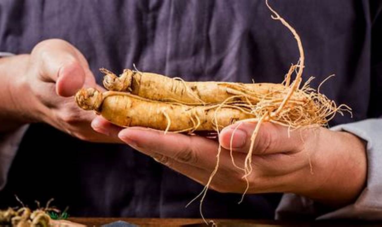 Manfaat Langka Ginseng Merah Korea yang Perlu Diketahui