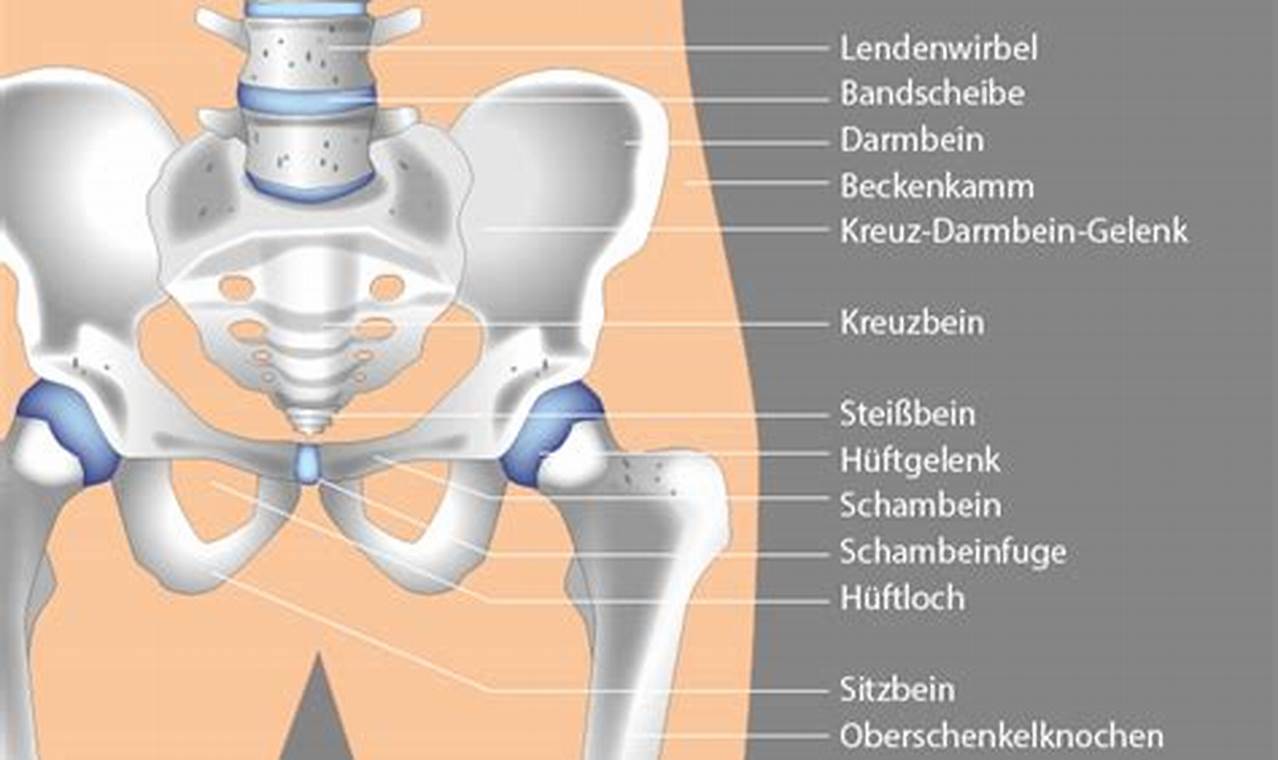 Ihr Hüft-Durchbruch: Revolutionäre Erkenntnisse für ein schmerzfreies Leben