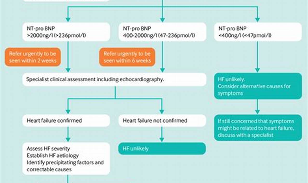 The Essential Guide to Heart Failure Management: 2023 Guidelines