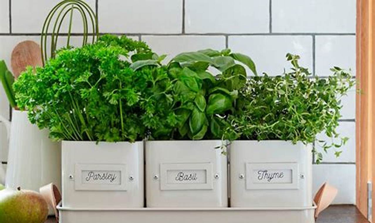 Unlock the Secrets to Flourishing Herbs in Your Kitchen