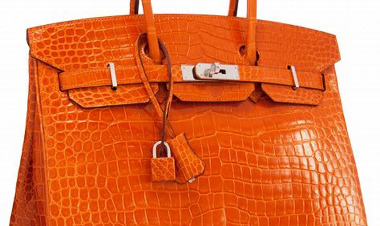 Hermes Crocodile Handbag Price: A Comprehensive Guide