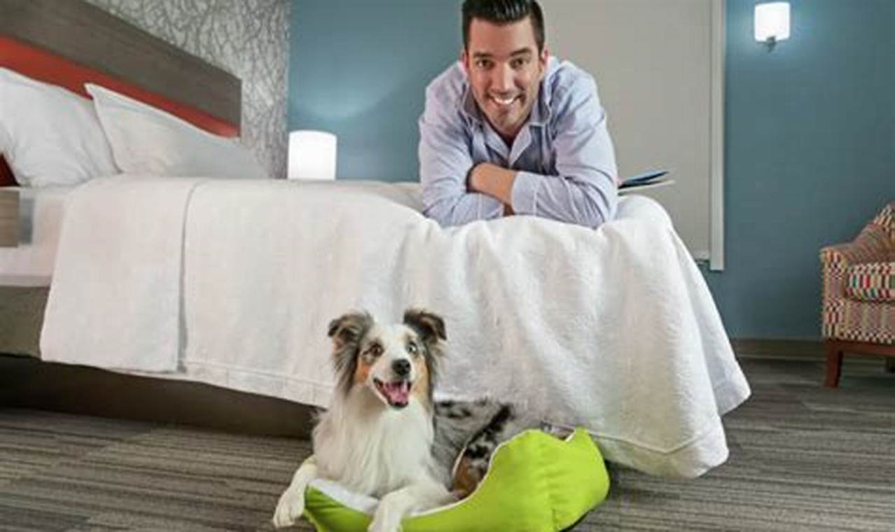 Discover the Ultimate Pet-Friendly Haven in NYC: Hilton Garden Inn with Exclusive Benefits