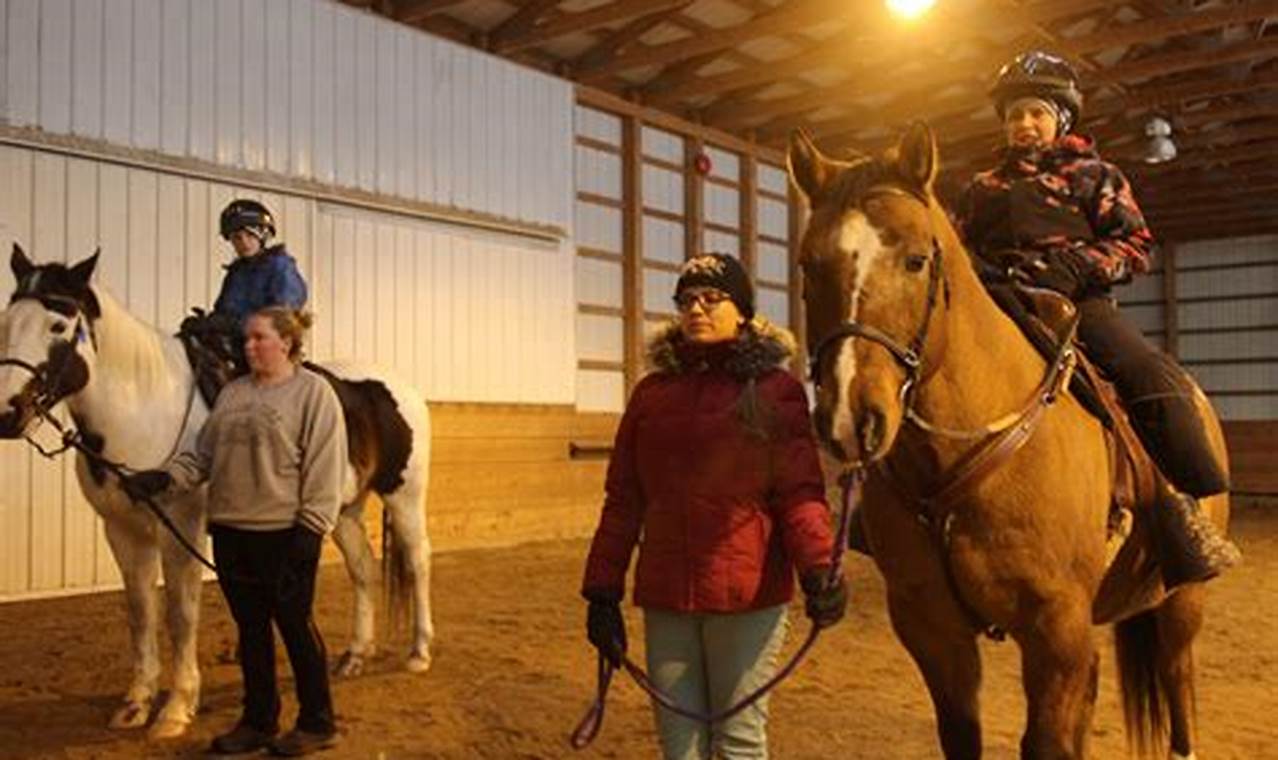 Horse Stable Volunteer: Bringing Joy and Care to Animals and Communities