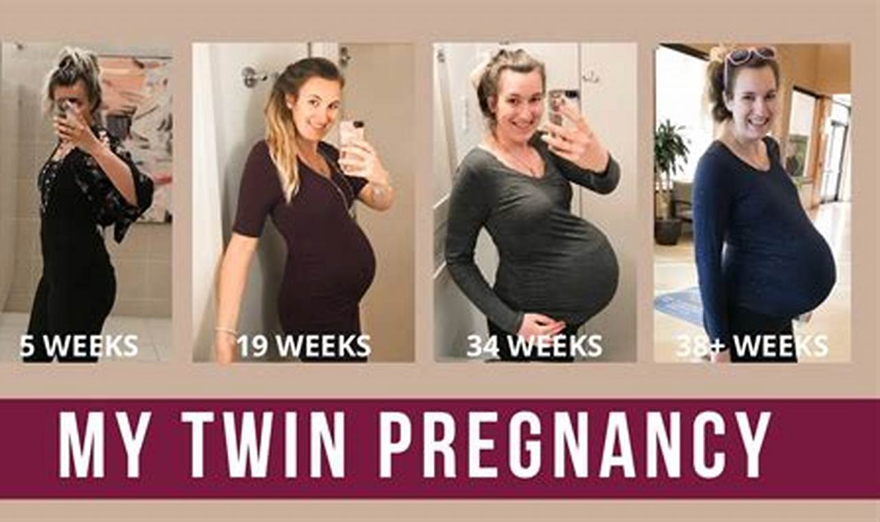 How to Get Pregnant with Twins: A Comprehensive Guide for Expectant Parents