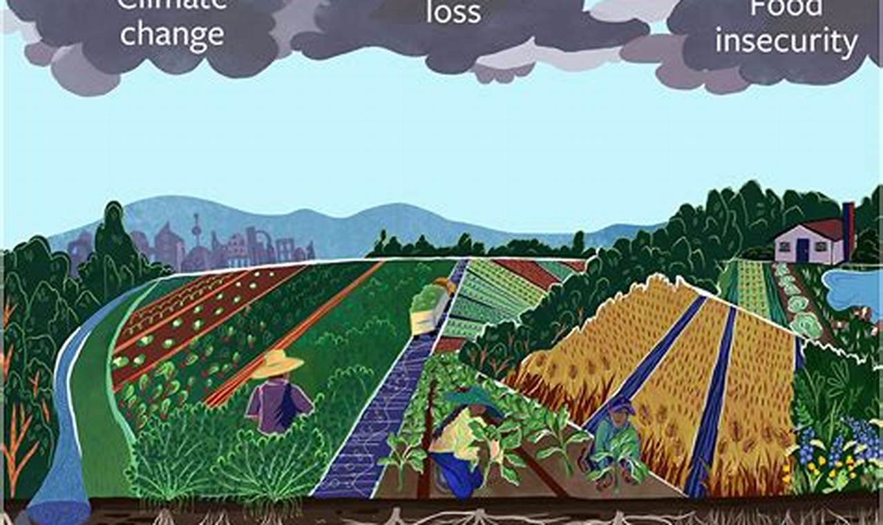 Unlock the Secrets: Land-Use Practices and Soil Health Revealed