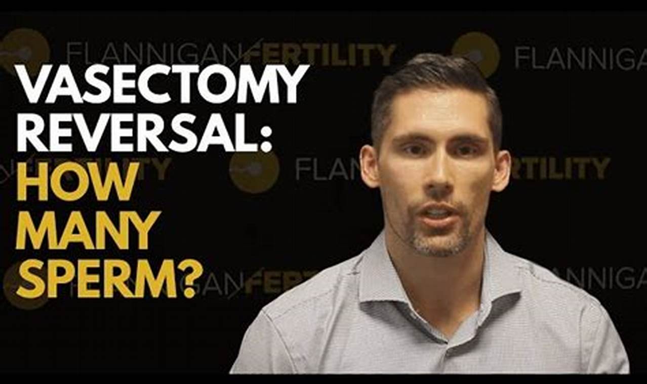 How Hard Is It To Get Pregnant After A Vasectomy Reversal