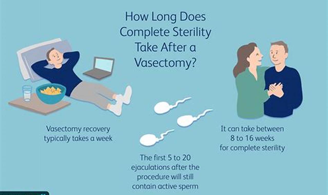 How Likely Are You To Get Pregnant After Vasectomy