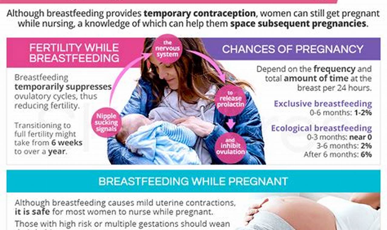 How Likely Is It To Get Pregnant While Exclusively Breastfeeding