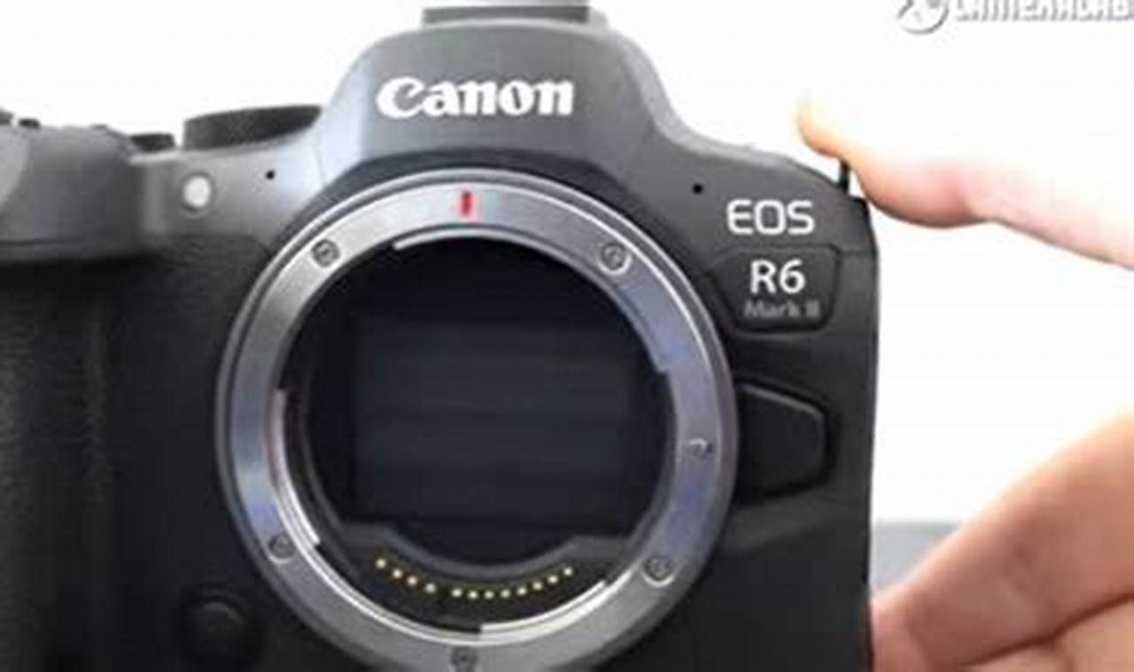 How Long to Expect Canon Backorders: A Comprehensive Guide