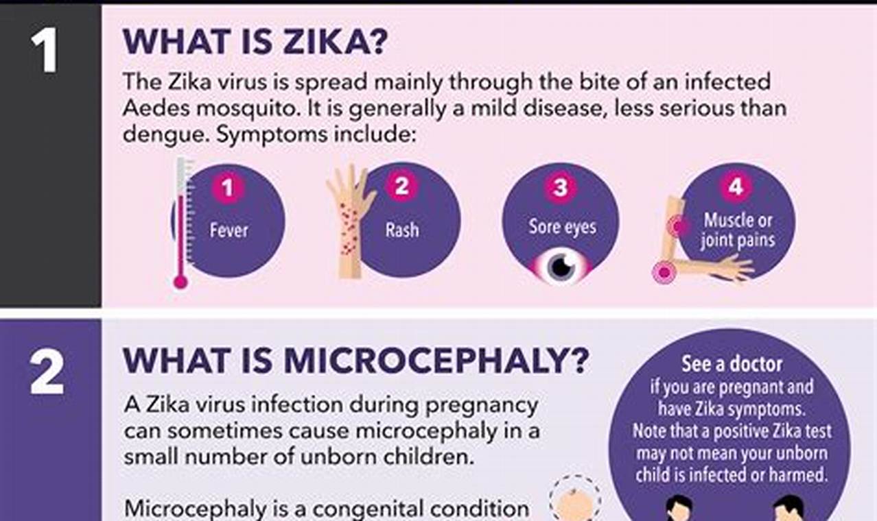 How Long to Conceive After Zika: A Comprehensive Guide for Pregnancy