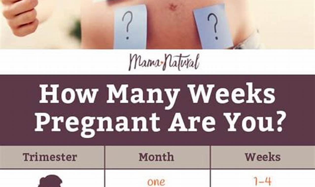 How Long Will It Take Me To Get Pregnant Calculator