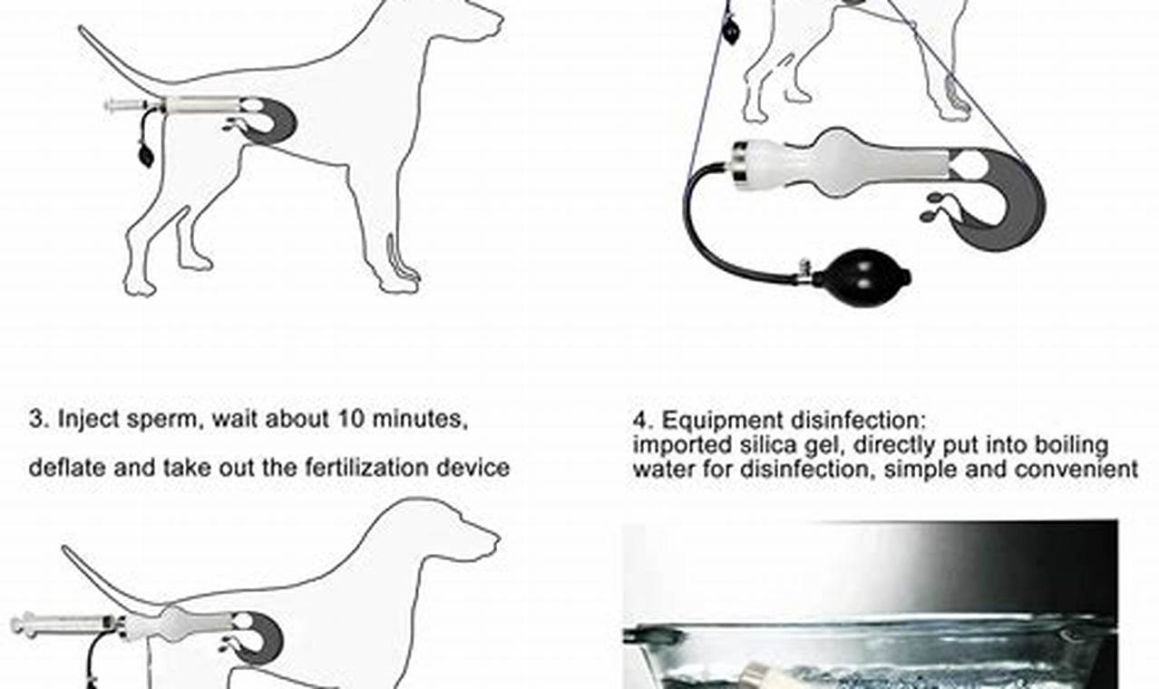 How Often Should You Artificially Inseminate a Dog: A Comprehensive Guide for Breeders