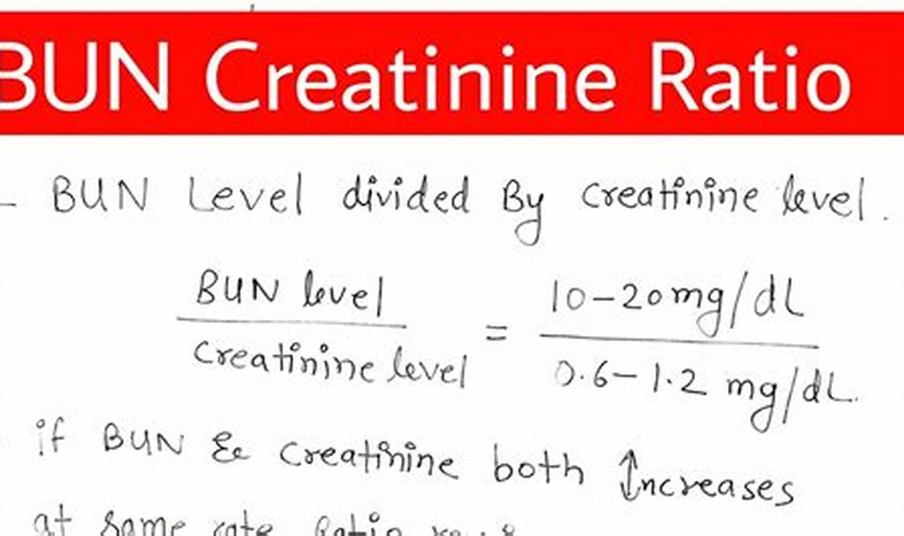 Unveiling the Secrets of BUN Creatinine Ratio: A Guide to Accurate Assessment