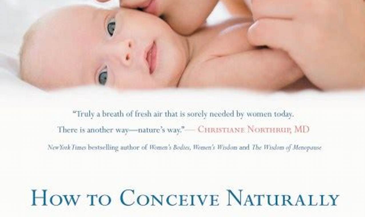 How To Conceive Naturally Book