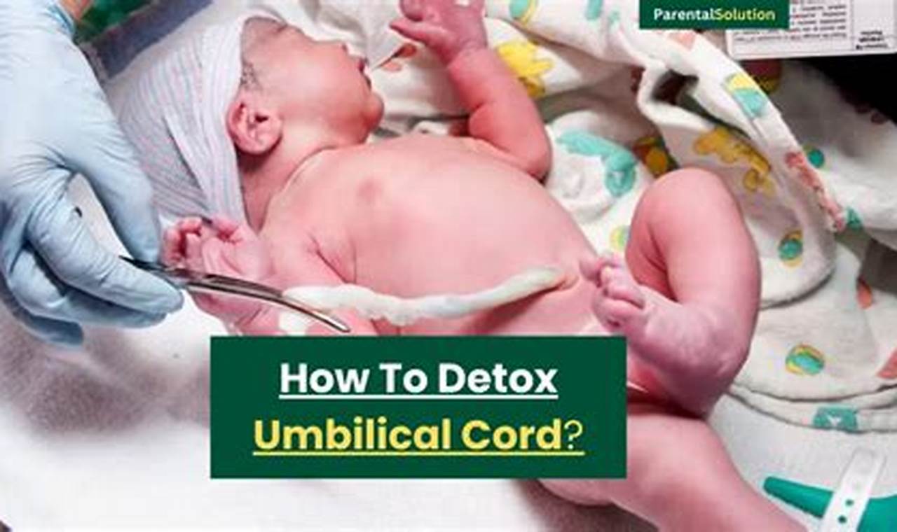 How to Detox Your Umbilical Cord During Pregnancy: A Guide for a Healthier Pregnancy