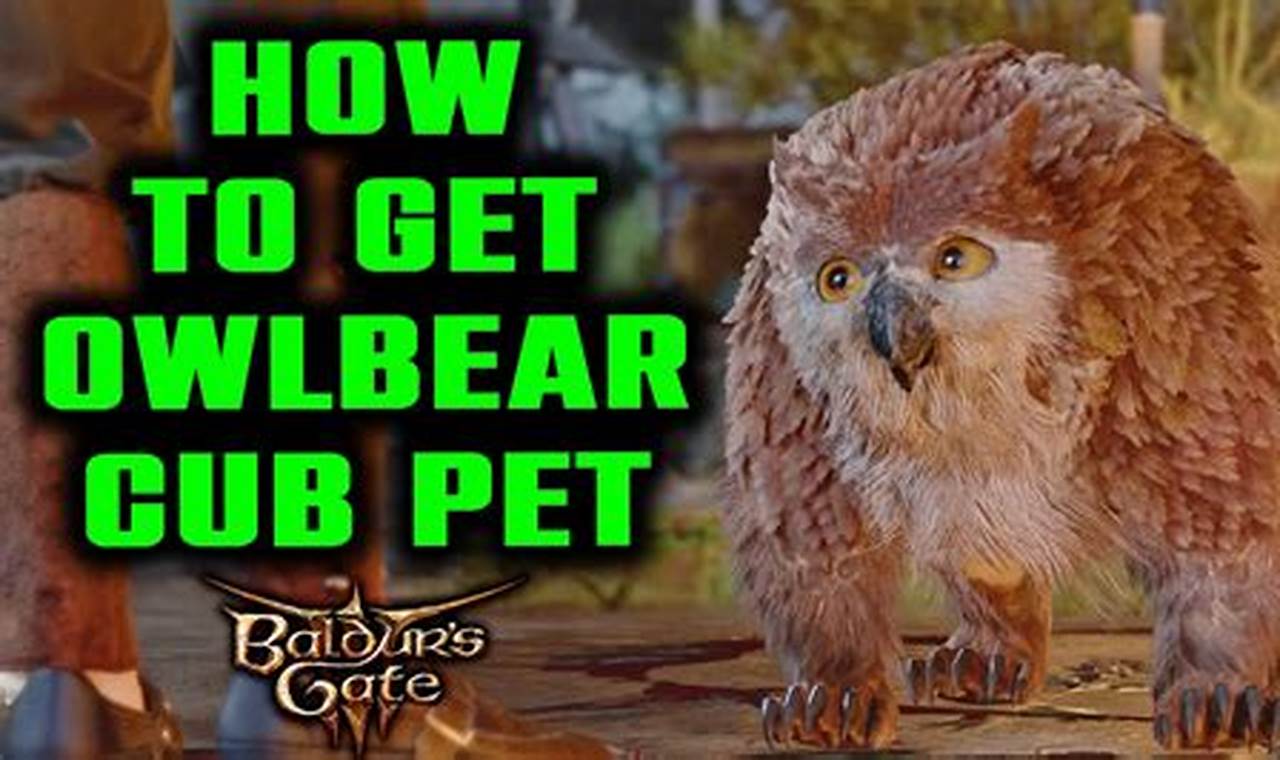 Unleash the Wild: How to Get the Owlbear Cub - Your Guide to a Majestic Companion!