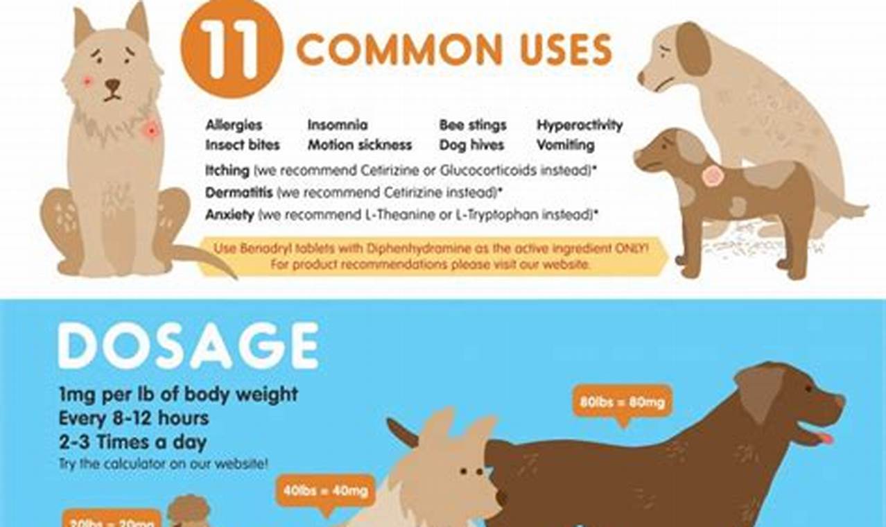 How to Safely Administer Benadryl to Your Dog: A Comprehensive Guide