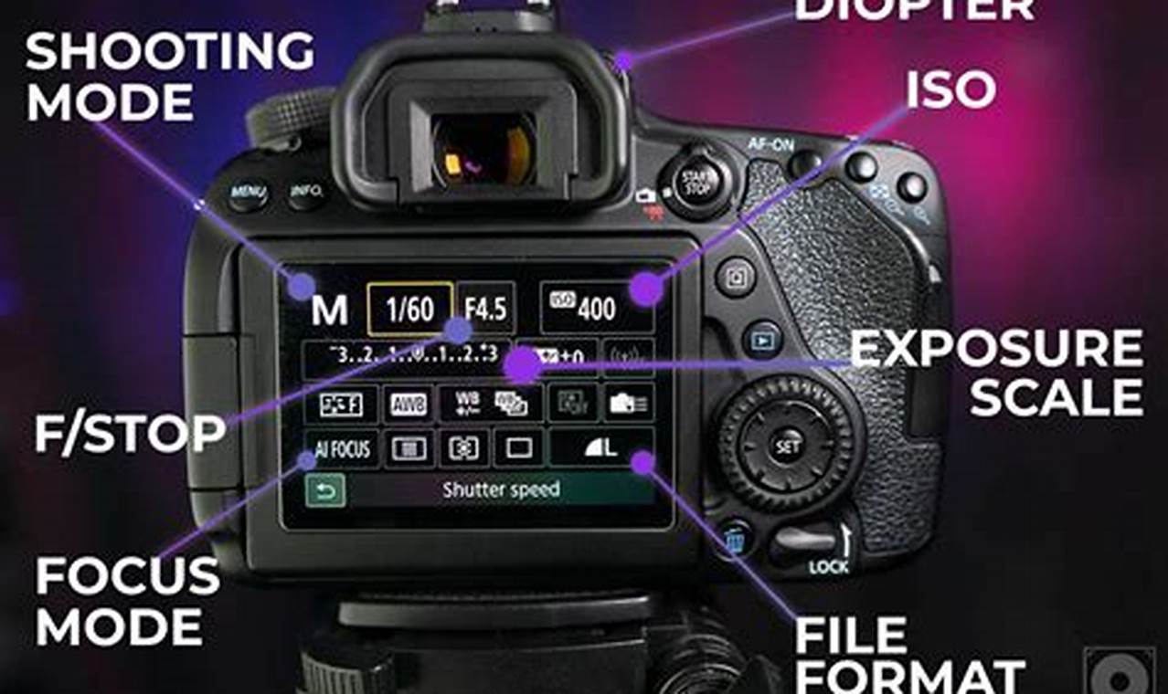 How to Play Videos on Your Canon Camera: A Step-by-Step Guide