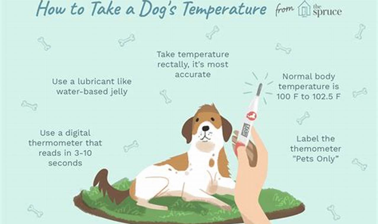 How to Take Your Furry Friend's Temperature: A Step-by-Step Guide