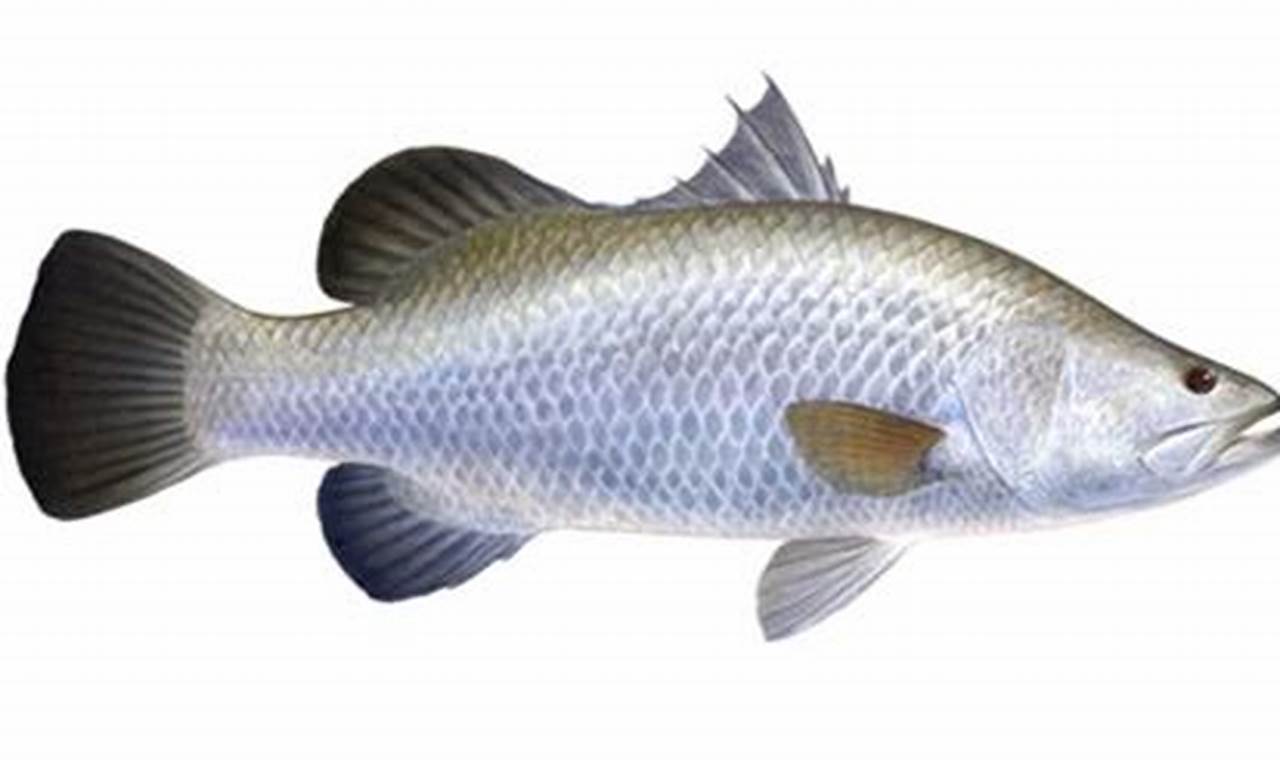 Ikan Cukil Adalah: Temukan Rahasia dan Manfaatnya yang Menakjubkan!